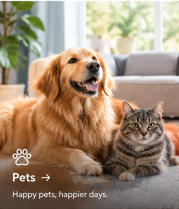 Pets